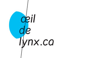Transistor design : graphic design, œil de lynx.ca , Identity for œil de lynx.ca, turnkey