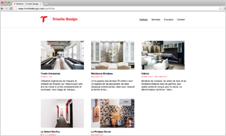 Transistor design : website design, Trinelle Design , 